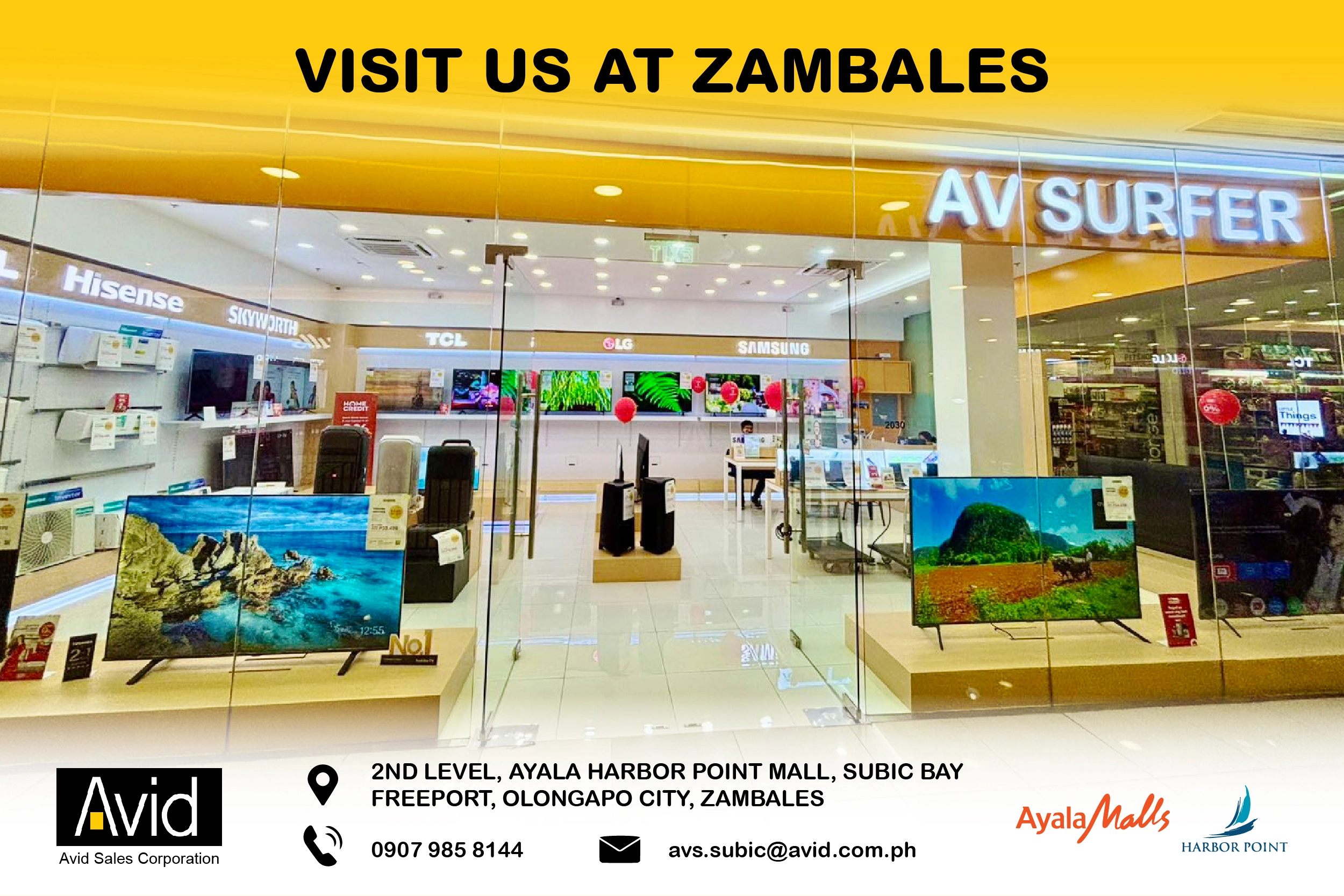 avs zambales